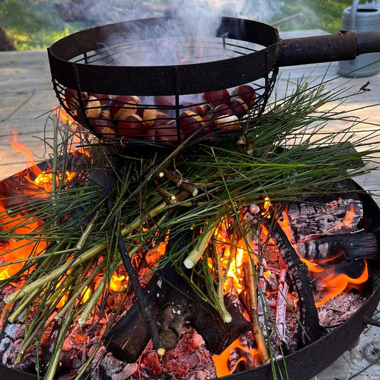 grillade de châtaignes sur un lit de genêts