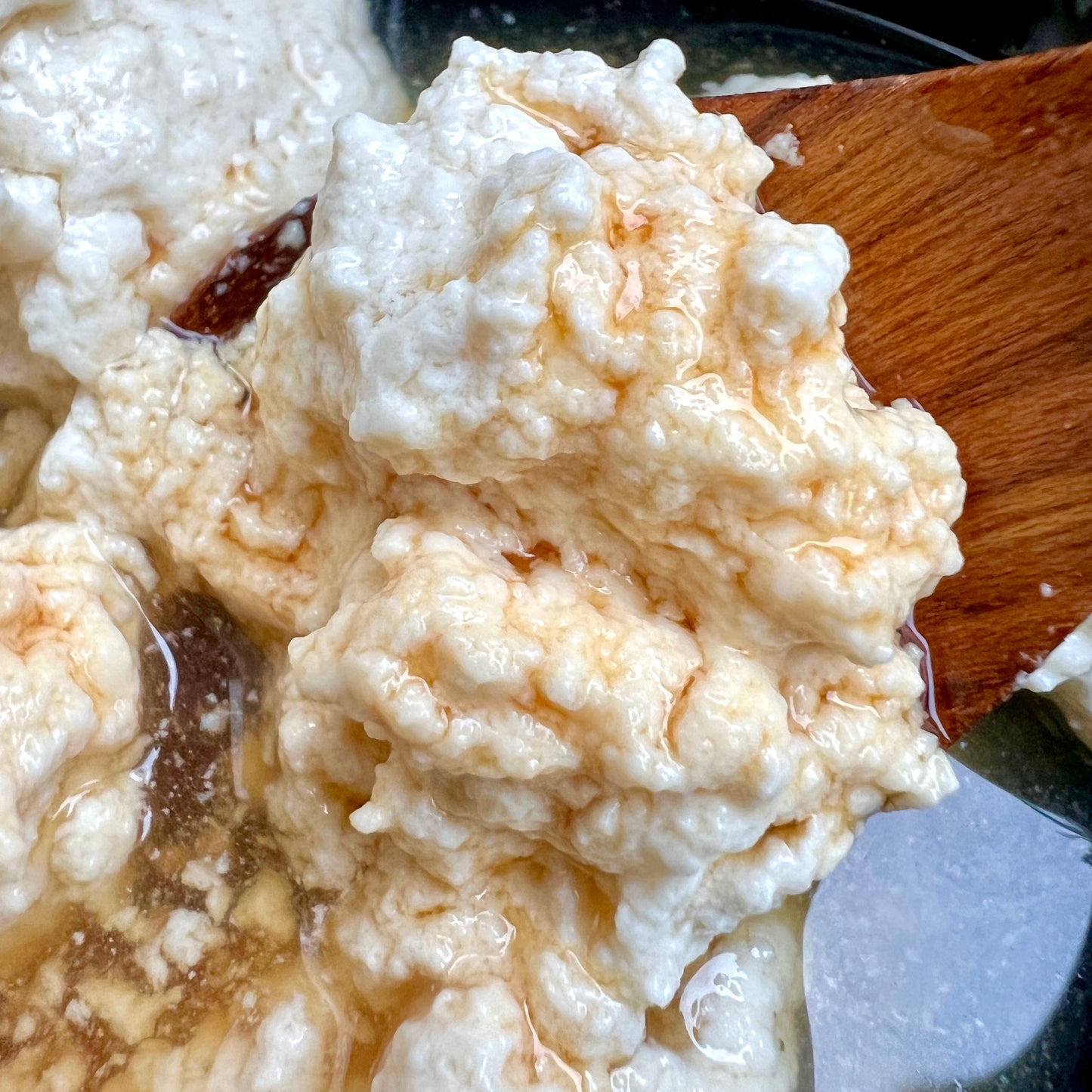 atelier tofu