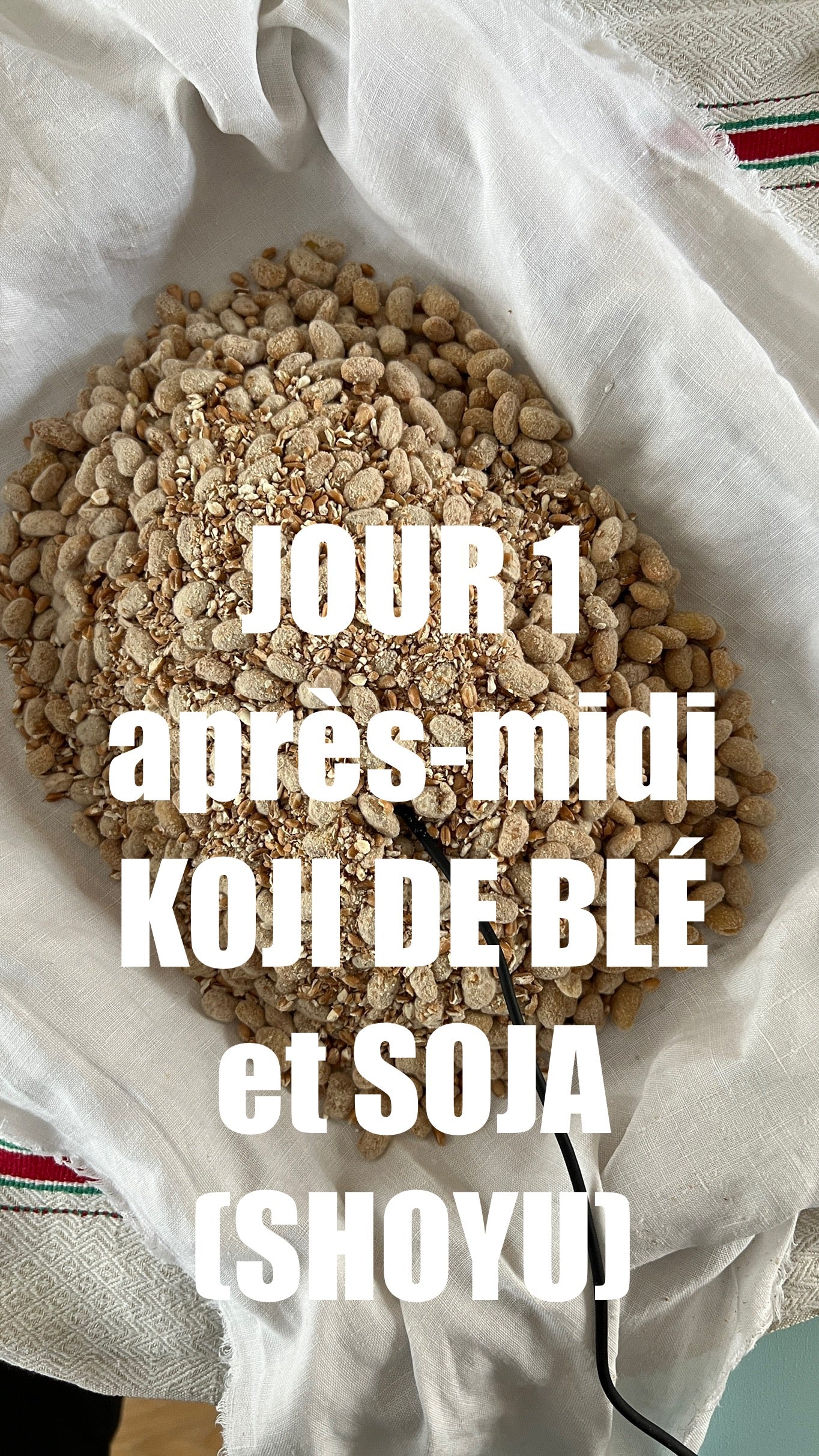 stage de fermentation dans l'Aveyron