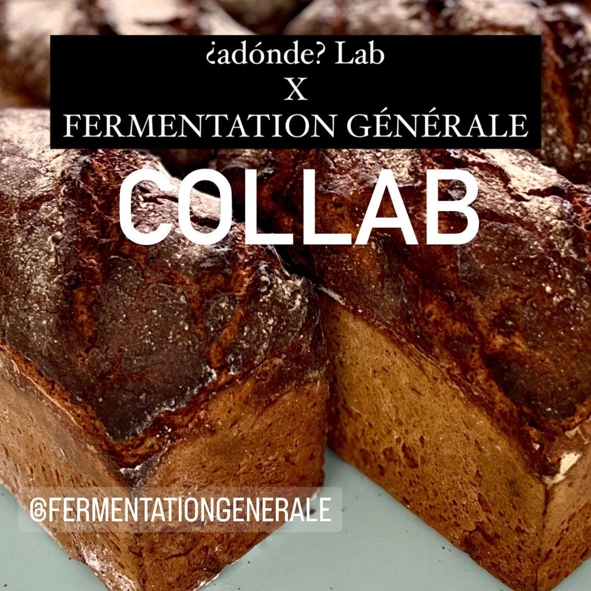 miso de seigle / ¿adónde? X fermentation générale