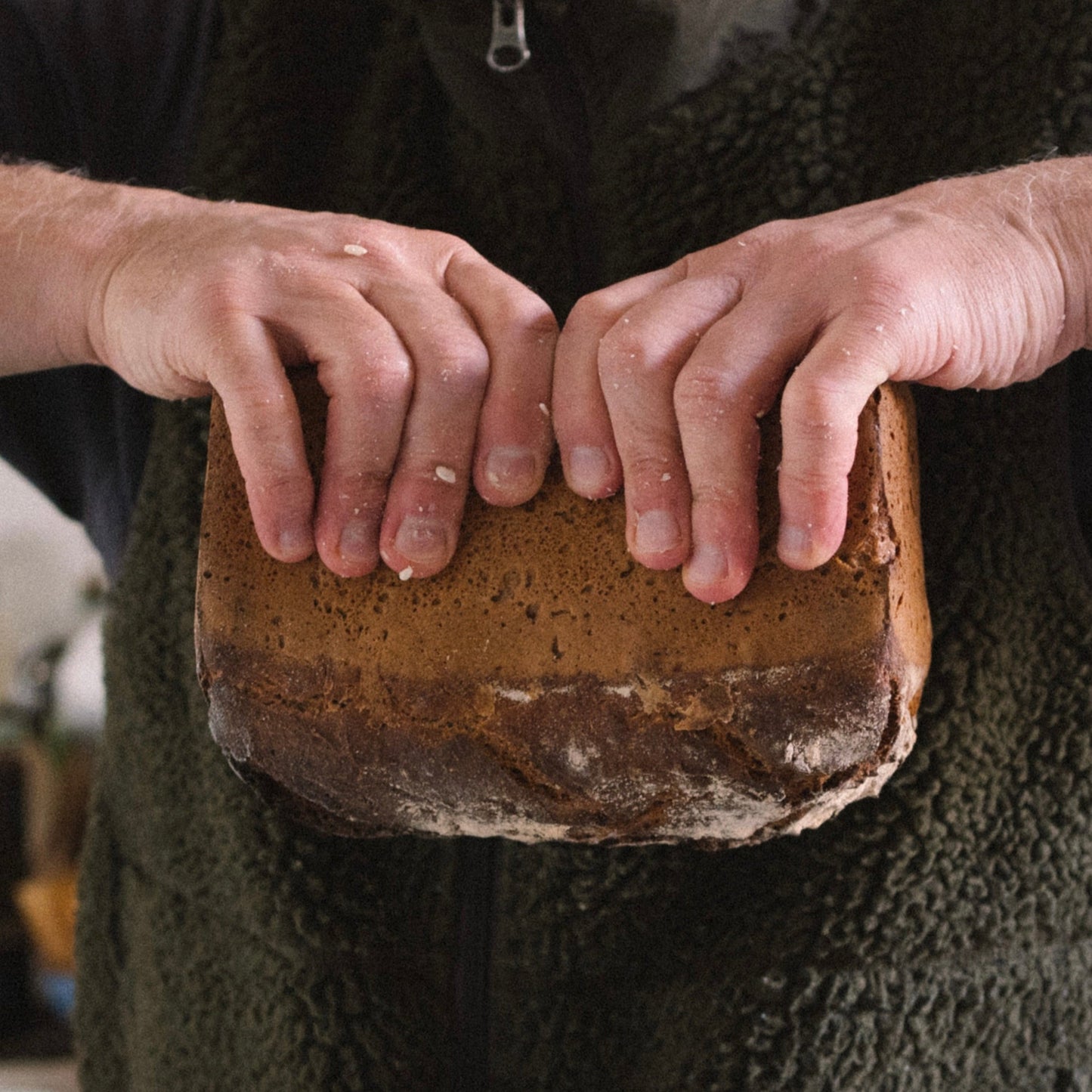 miso de seigle / ¿adónde? X fermentation générale
