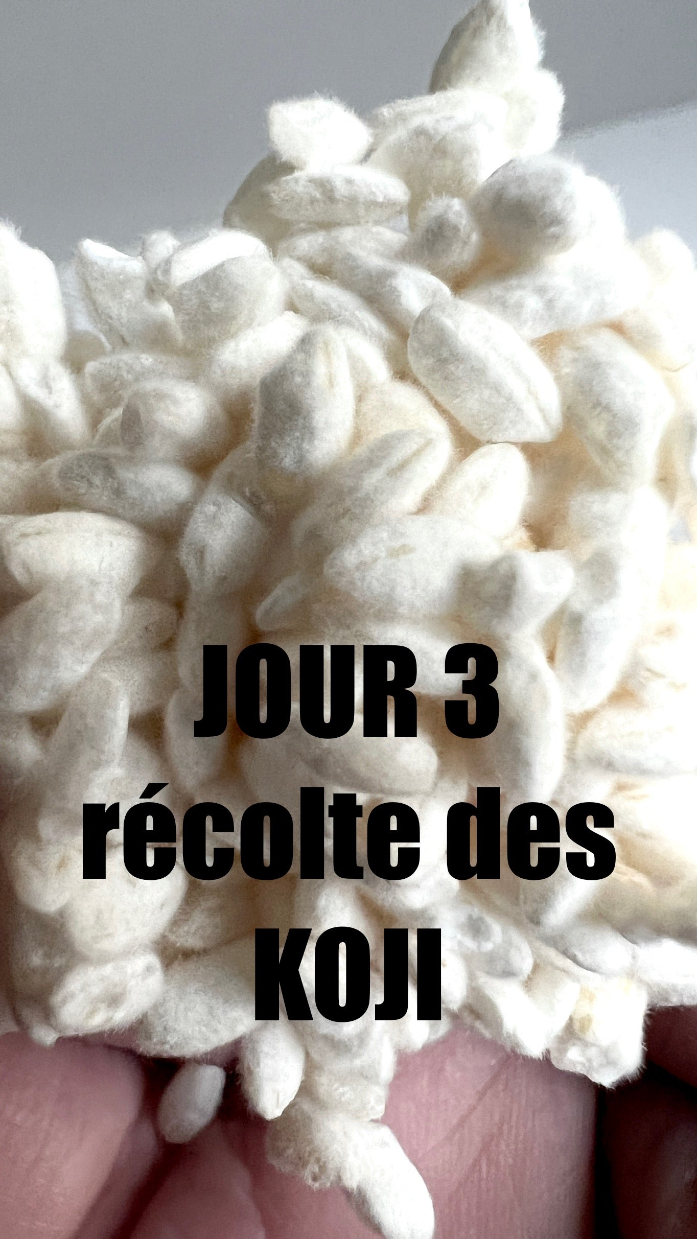 stage de fermentation dans l'Aveyron
