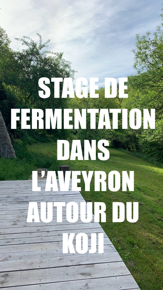 stage de fermentation dans l'Aveyron