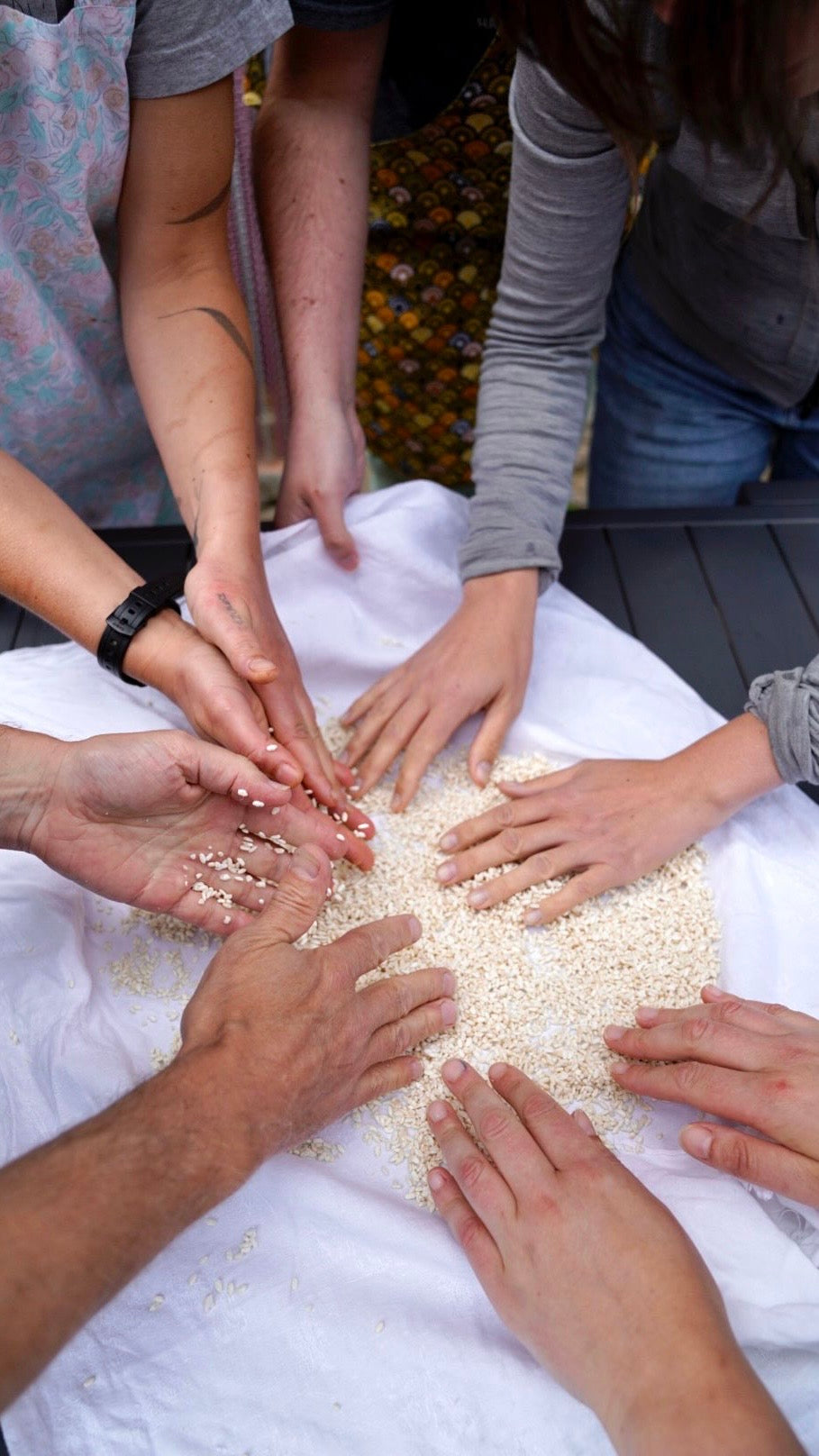 stage de fermentation dans l'Aveyron