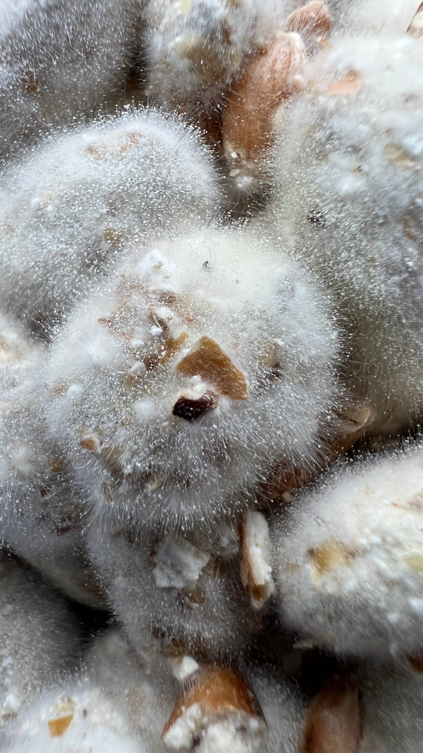 stage de fermentation dans l'Aveyron