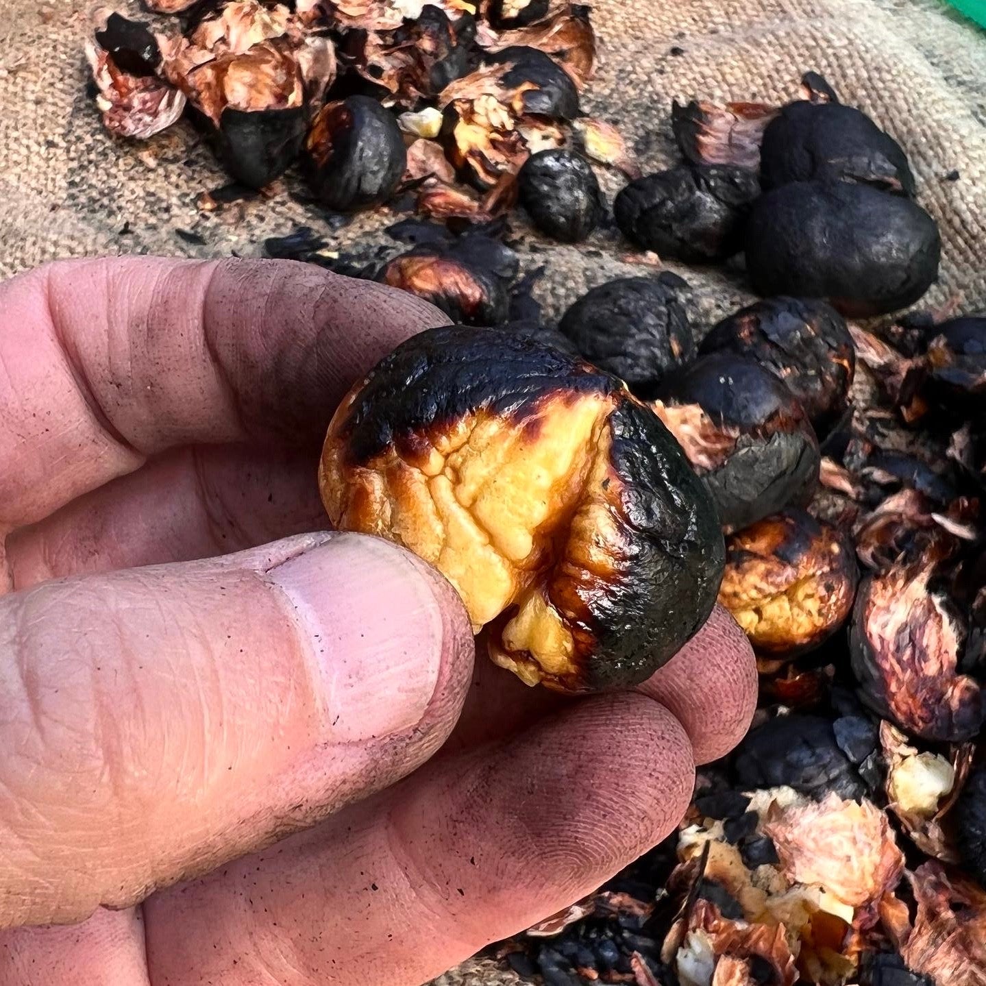 miso de châtaignes grillées
