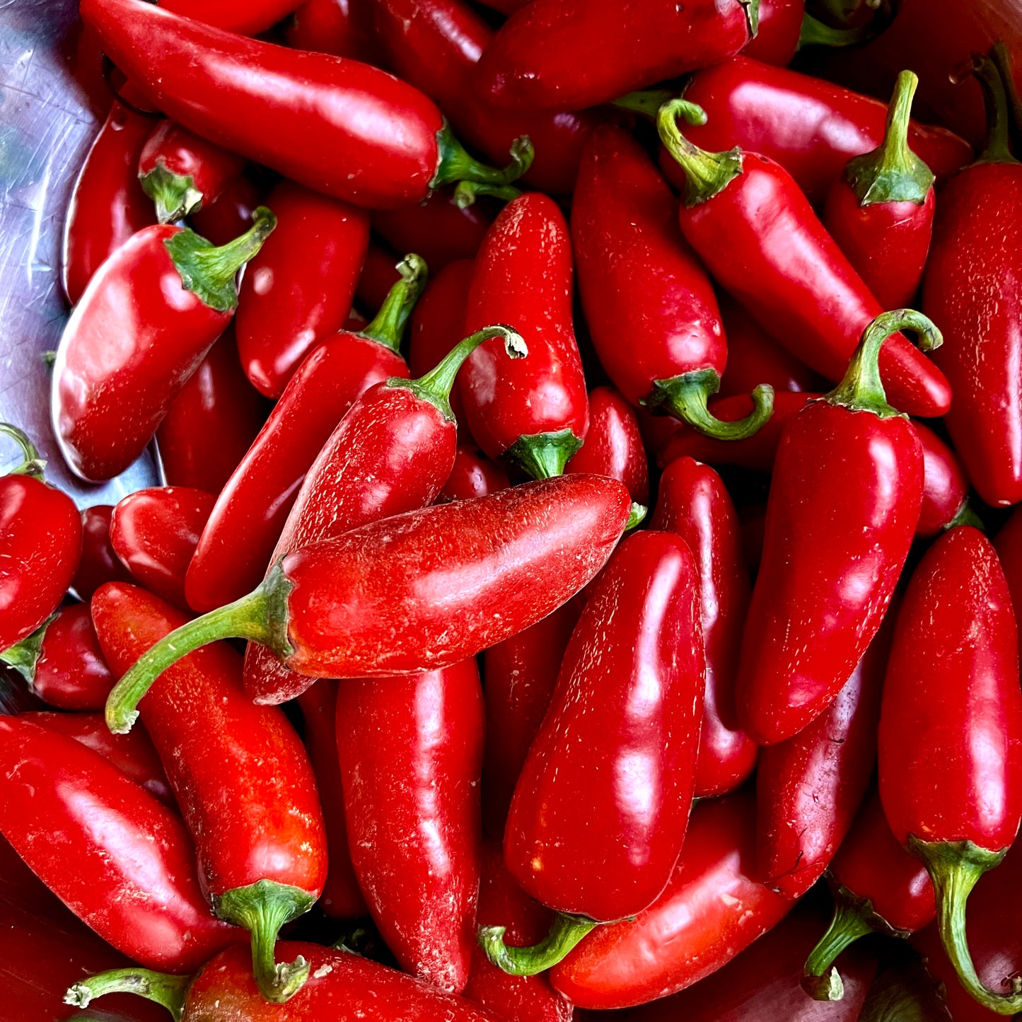chili koji