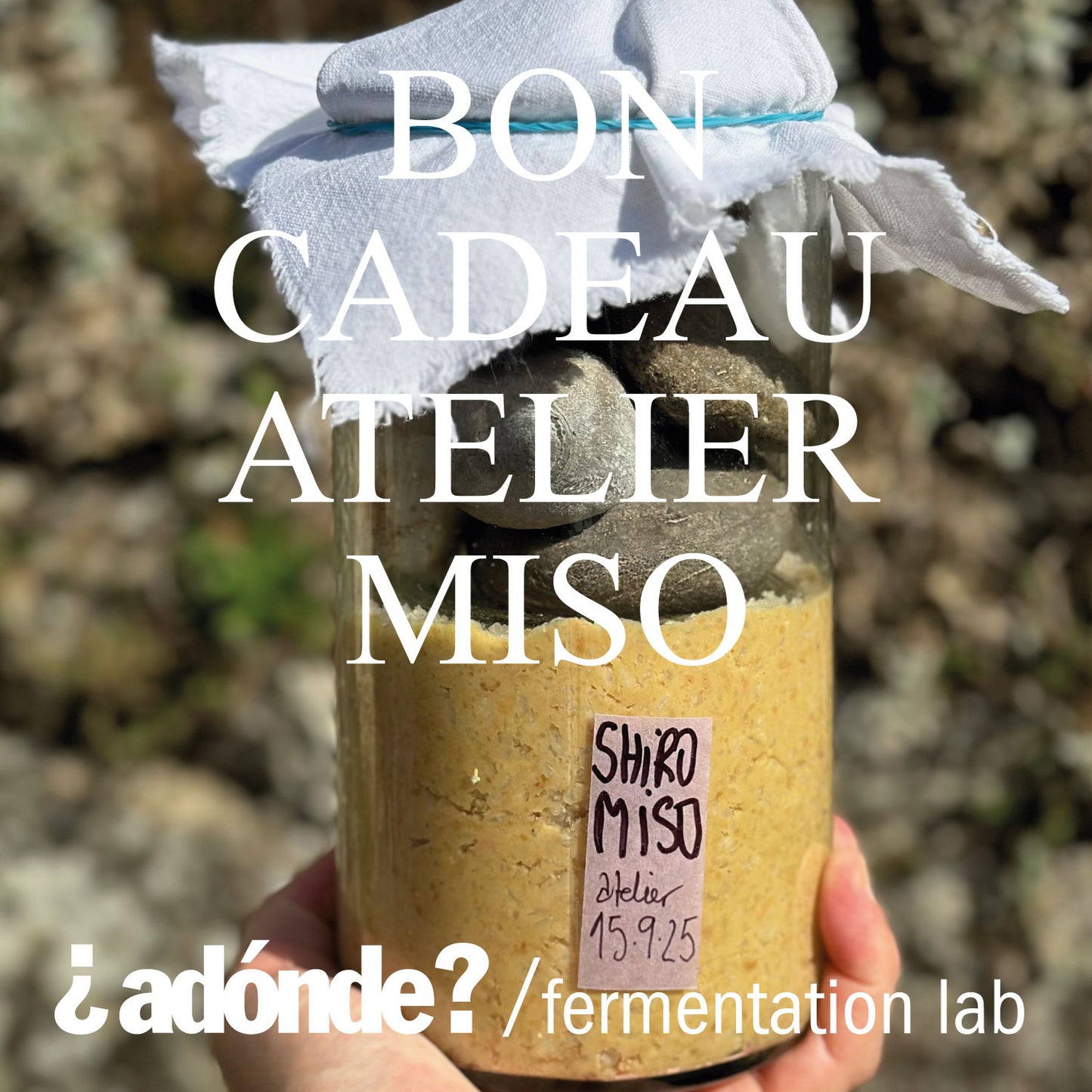 atelier miso (à Paris)