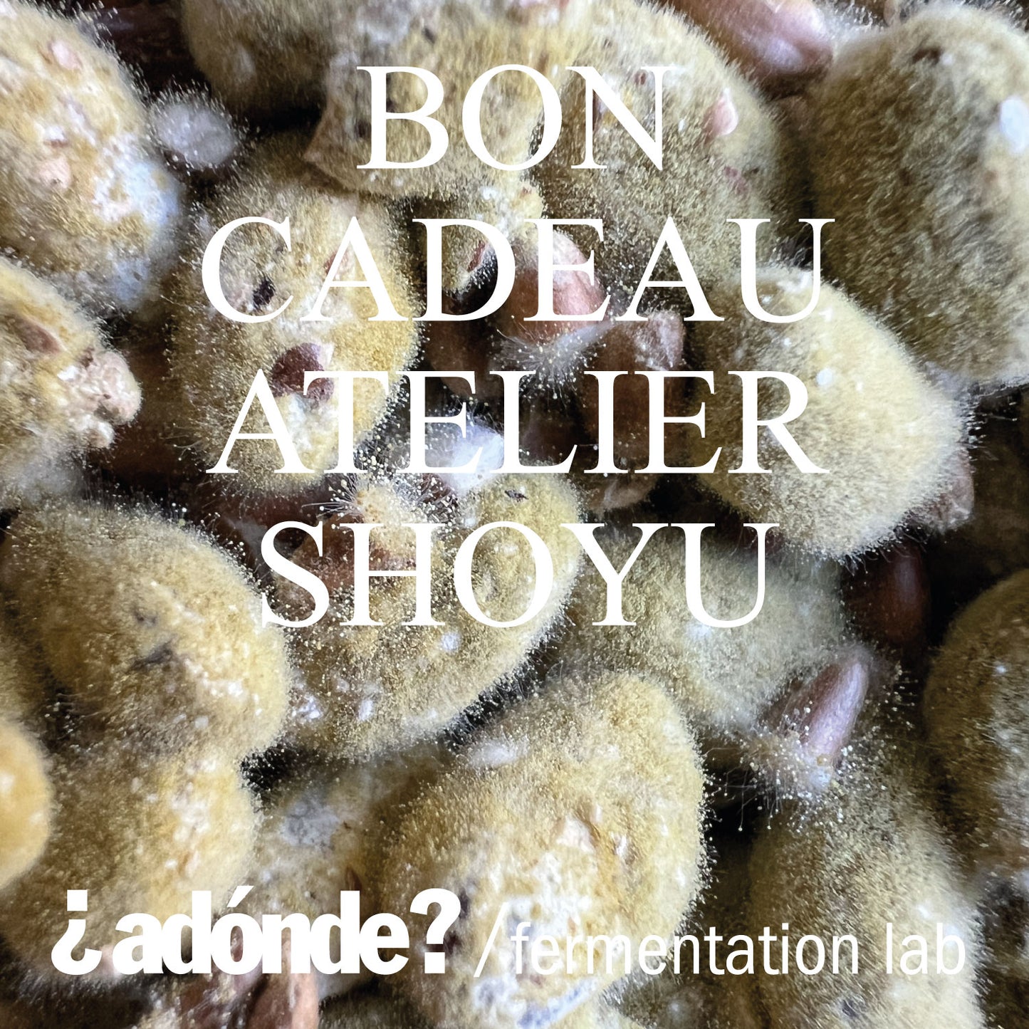 atelier shoyu (à Paris)